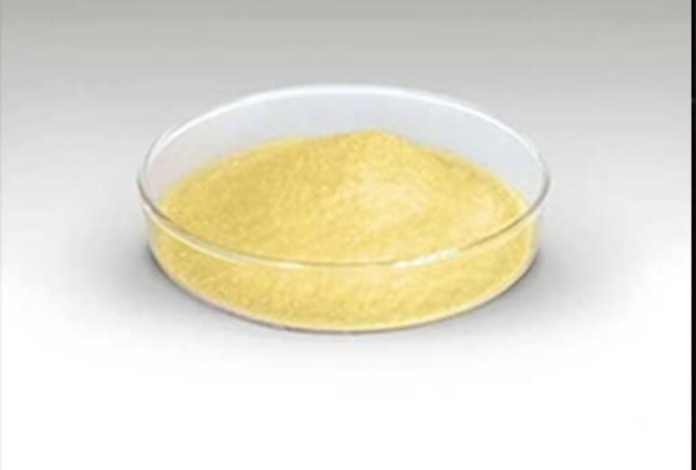 Bismuth Subgallate